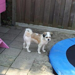 Max 1 jaar oud