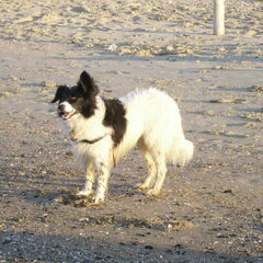naar zee ;)