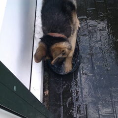 is mijn water !!!