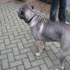 Spannend in de dierentuin(6 maanden oud)