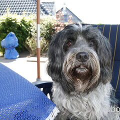 Genieten op het terras.