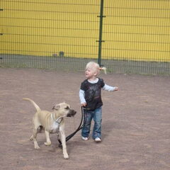 Samen met het jongste baasje op training!