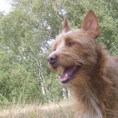 Lekker wandelen op de heide 29-08-2012