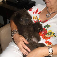 zo klein nog de kleine spruit ,is zo graag in mama's armen,