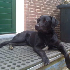 Fotomodel Max
