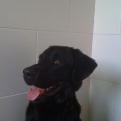 leuk!