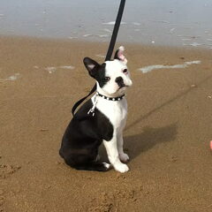 Eerste keer op het strand!