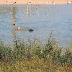 Lola zwemmen met Marley