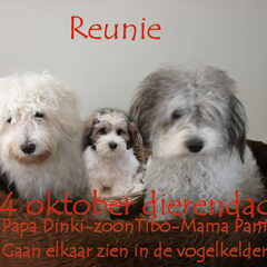 Als dit geen mooie dierendag wordt? Een reünie tussen kind…