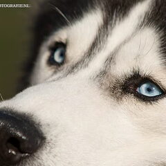Silver.
