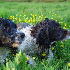 Kate en Kelly