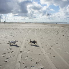 Lekker rennen met Yué