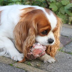 Lekker eten !!