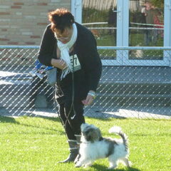 Show in Apeldoorn lopen.