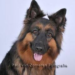 fotoshoot shiva