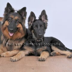 fotoshoot samen