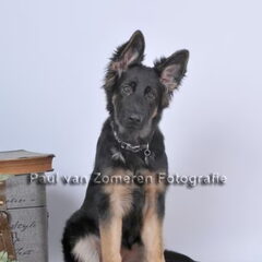 fotoshoot nala