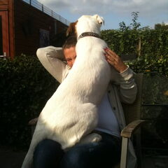 bij me schoonzus op schoot het hondje haha