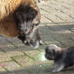 oei die is wel heel groot hahahhah