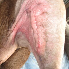 Dit is 15 mei2012 draadje,s uitgedaan