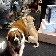 Mojo met zn vriendje