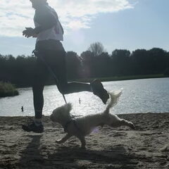 Hond en baas lopen synchroon: precies dezelfde achterzwaai!