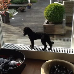 Tim op de verwarming
