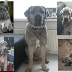Alweer een jaar oud...time flies