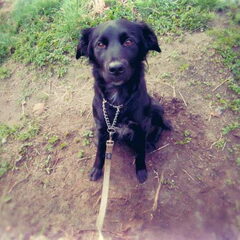 Yaraa :D