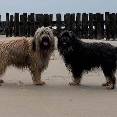 Izara en Babbus op het strand
