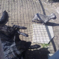 Zara en Rex