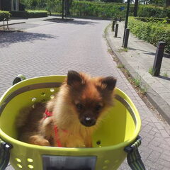 heerlijk met dit weer fietsen