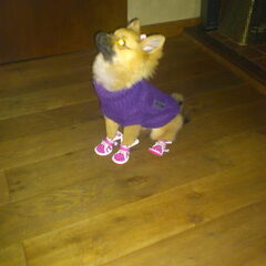 hahaha