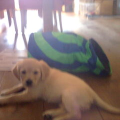 Leuk spelen met piet