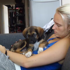 Zo lief, zo klein
