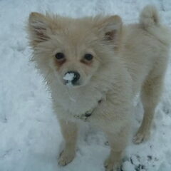 Voor de eerste keer in de sneeuw samen met Lola