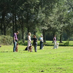 op de dogclub