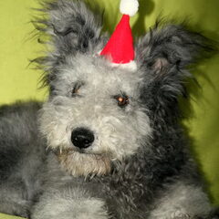 ons kerst monstertje