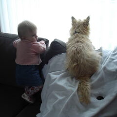 Bailey en ons dochtertje die samen naar buiten kijken.