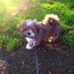 6 januari 2013 Lekkere wandeling gemaakt in het park