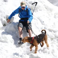 Dollen in de sneeuw