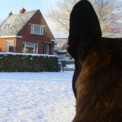 Wauw sneeuw !