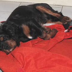 Even bedje opmaken