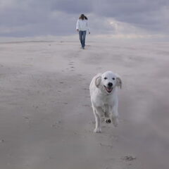 hier pup fenna op het strand met mijn dochter.