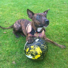 I love 2 play football