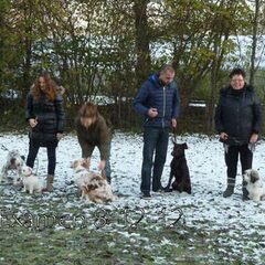 Examen 8-12-2012 op rij
