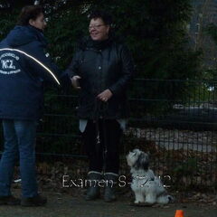 Examen 8-12-2012 Handje geven.