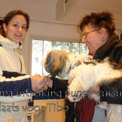 8-12-2012 Geslaagd, joehoeeee. De eerste hond zonder min…
