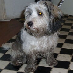 Beetje vies ;-) 14-12-2012