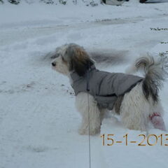 Welke kant zal ik op. 15-1-2013